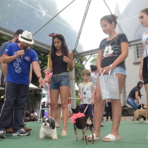 Pet Folia 