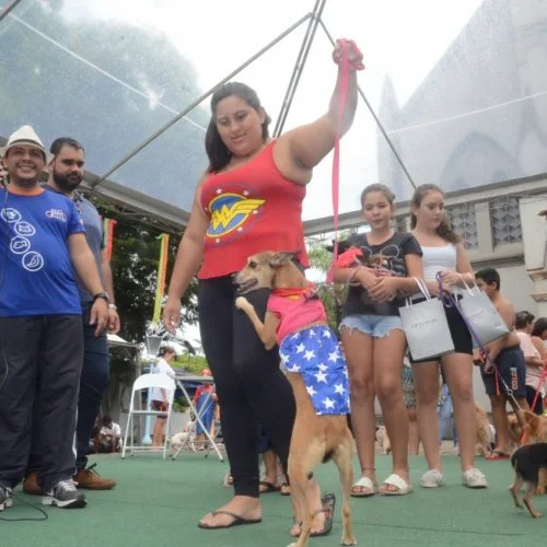 Pet Folia 
