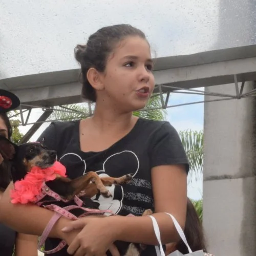 Pet Folia 