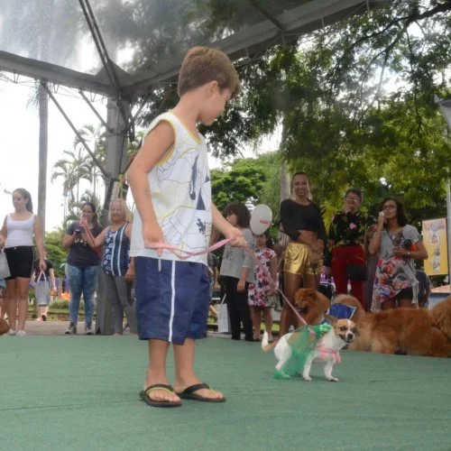 Pet Folia 