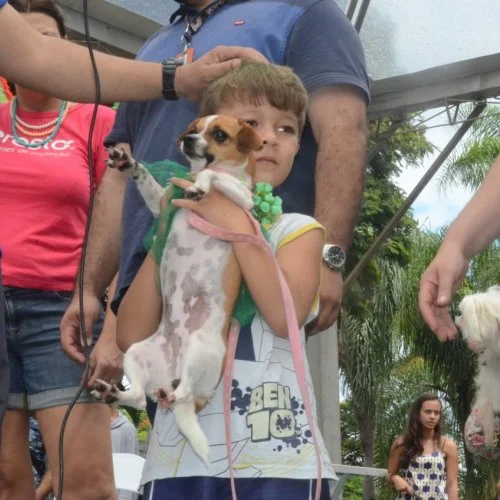 Pet Folia 