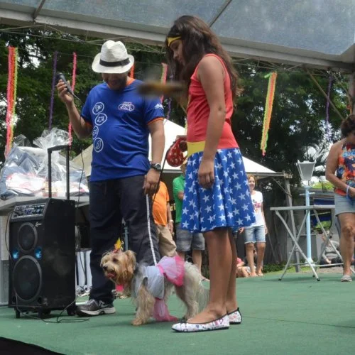 Pet Folia 