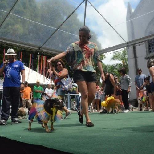 Pet Folia 