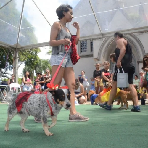 Pet Folia 