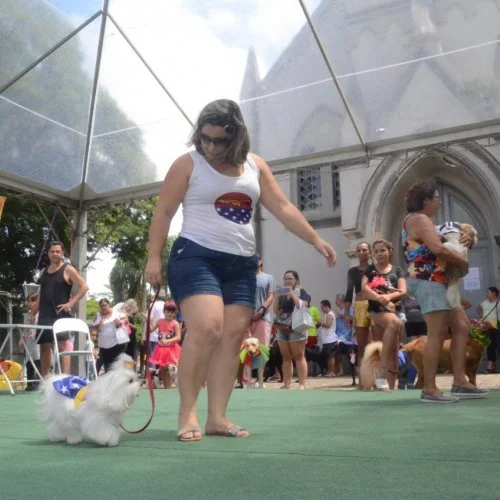 Pet Folia 