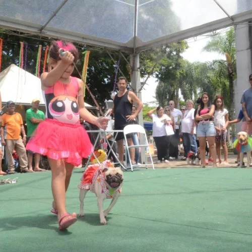 Pet Folia 