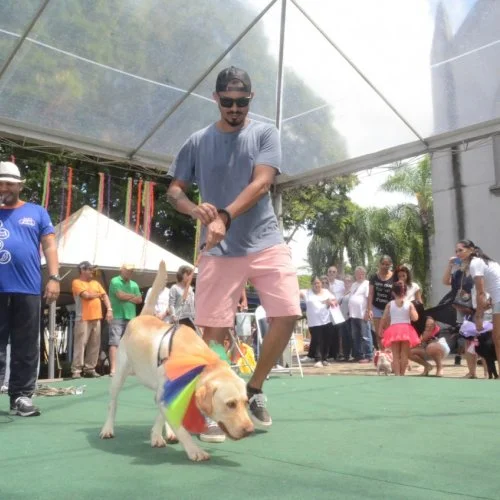 Pet Folia 
