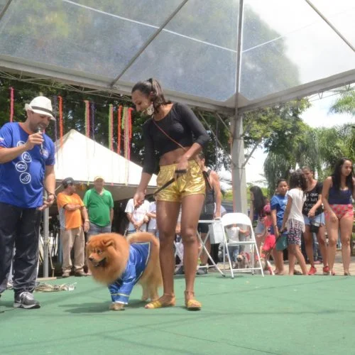 Pet Folia 