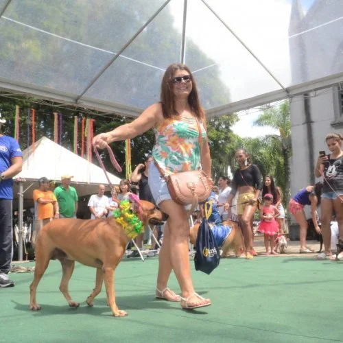 Pet Folia 