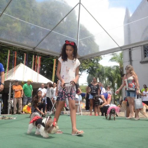 Pet Folia 