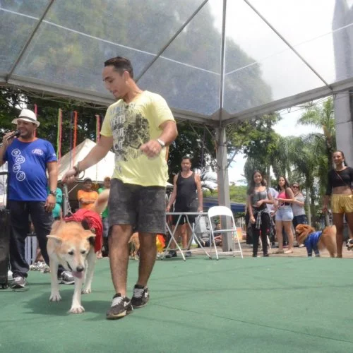 Pet Folia 