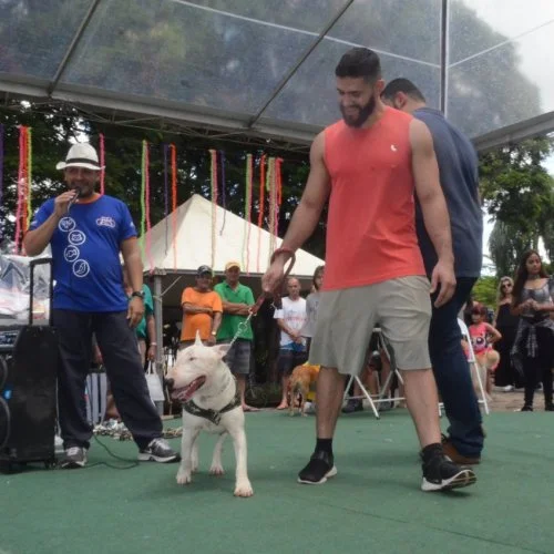 Pet Folia 
