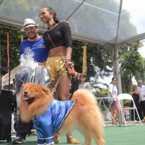 Pet Folia 
