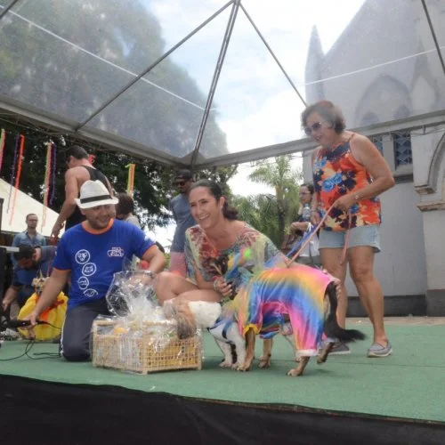 Pet Folia 