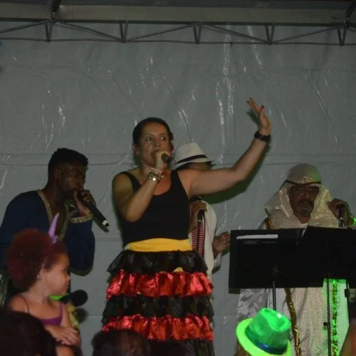 Carnaval de Jaguari?na - 2019