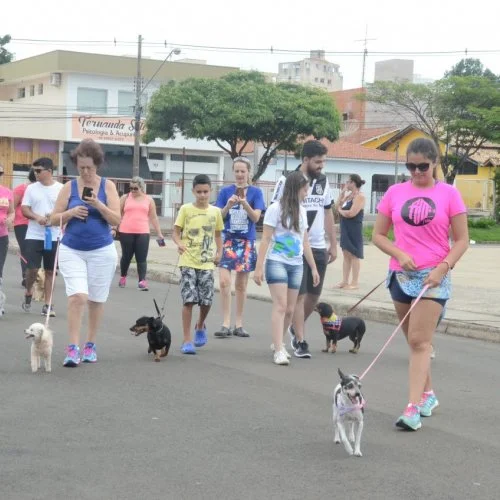 Evento acontece no Parque Santa Maria e proposta é ajudar a ong Xodó de Bicho 