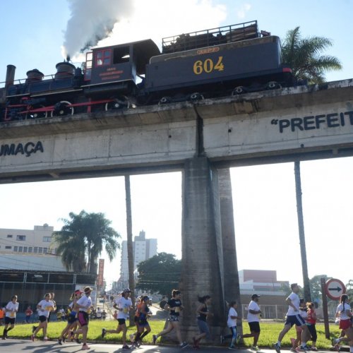 Rei e Rainha da Colina 