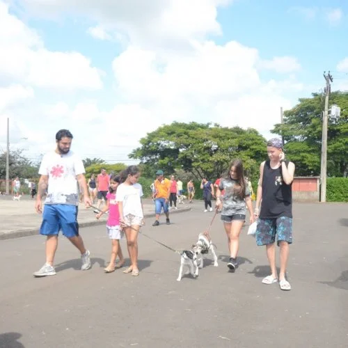 Xod? de Bicho 