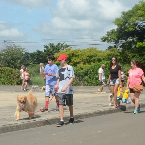 Xod? de Bicho 