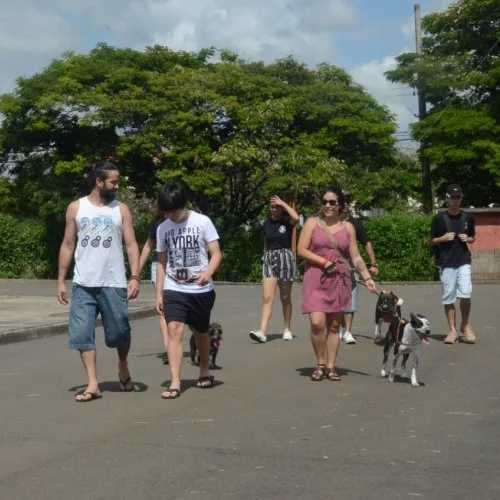 Xod? de Bicho 