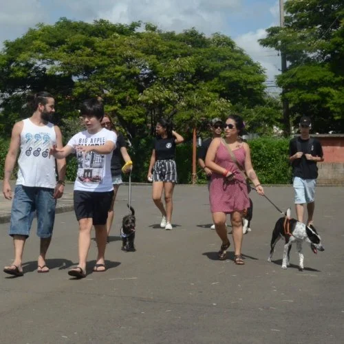 Xod? de Bicho 