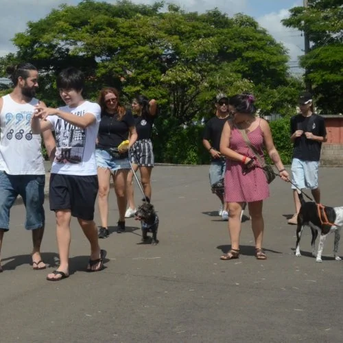 Xod? de Bicho 
