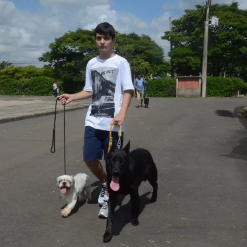 Xod? de Bicho 