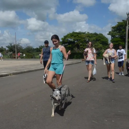 Xod? de Bicho 