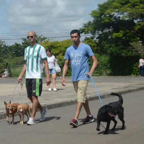 Xod? de Bicho 