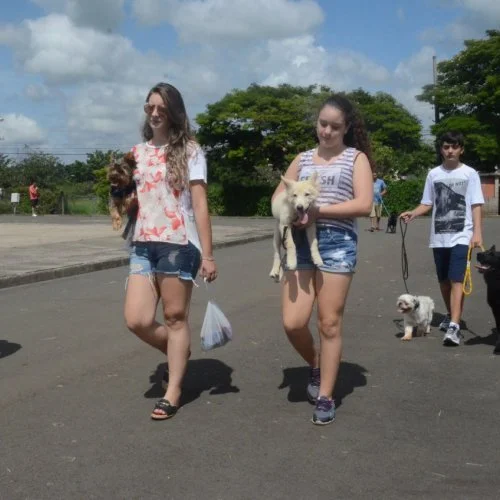 Xod? de Bicho 