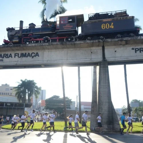 Rei da Colina 