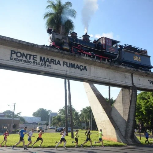 Rei da Colina 
