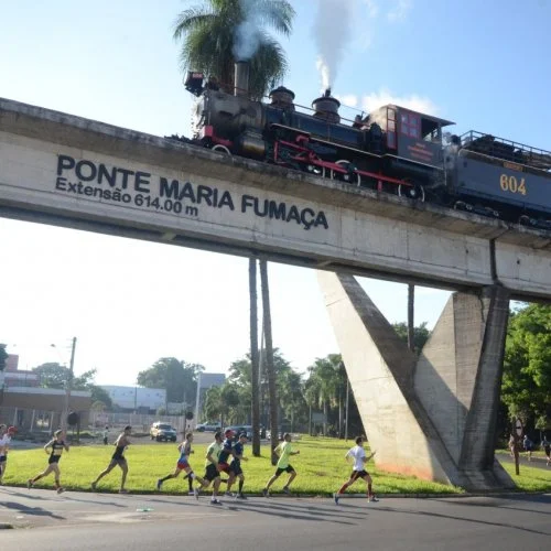 Rei da Colina 