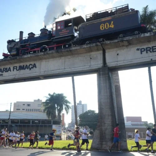 Rei da Colina 