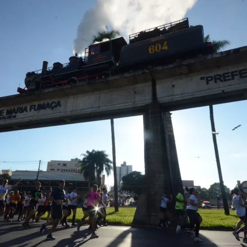 Rei da Colina 