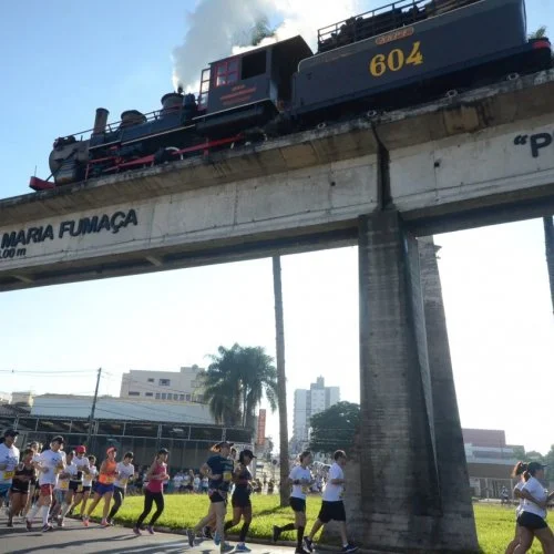 Rei da Colina 