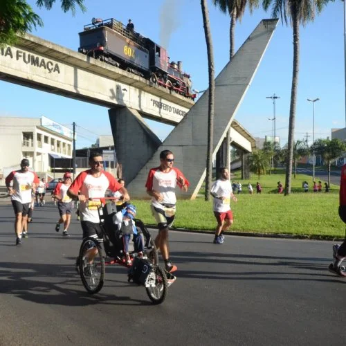 Rei da Colina 